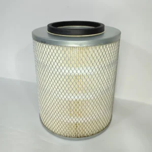 Filtro Aire Jac 1063 Original